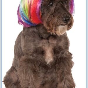 Rainbow Bob Wig Pet Costume Accessory